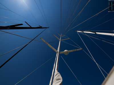...� intento a salire sull�albero per un �check aereo�